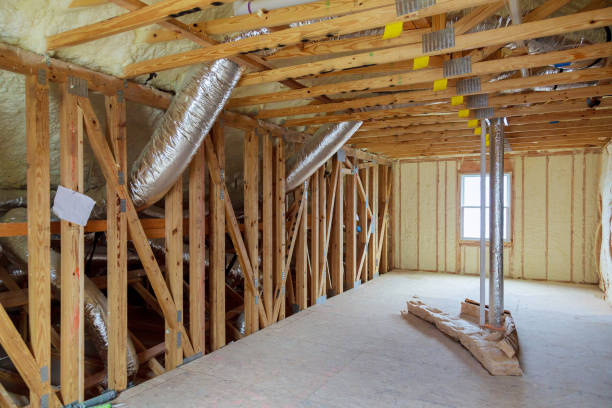 Best Professional Insulation Contractor  in Port Arthur, TX